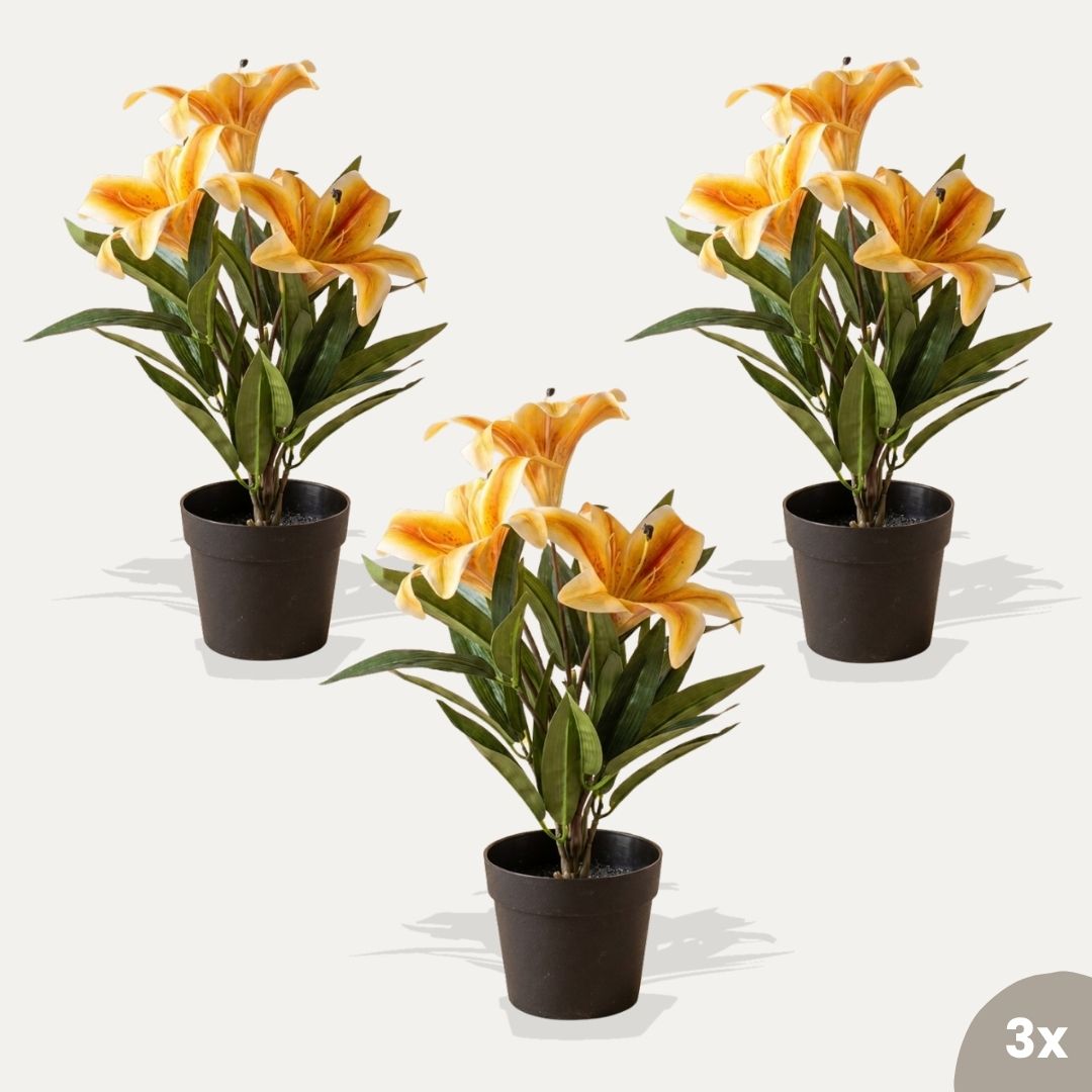Lilie orange 3er-Set