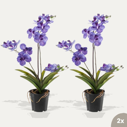 Orchid Vanda purple 2 pcs - Bundle product - Artificial plants