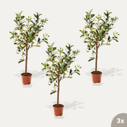 Mini Olive tree set - 3 pcs - Bundle product - Artificial plants