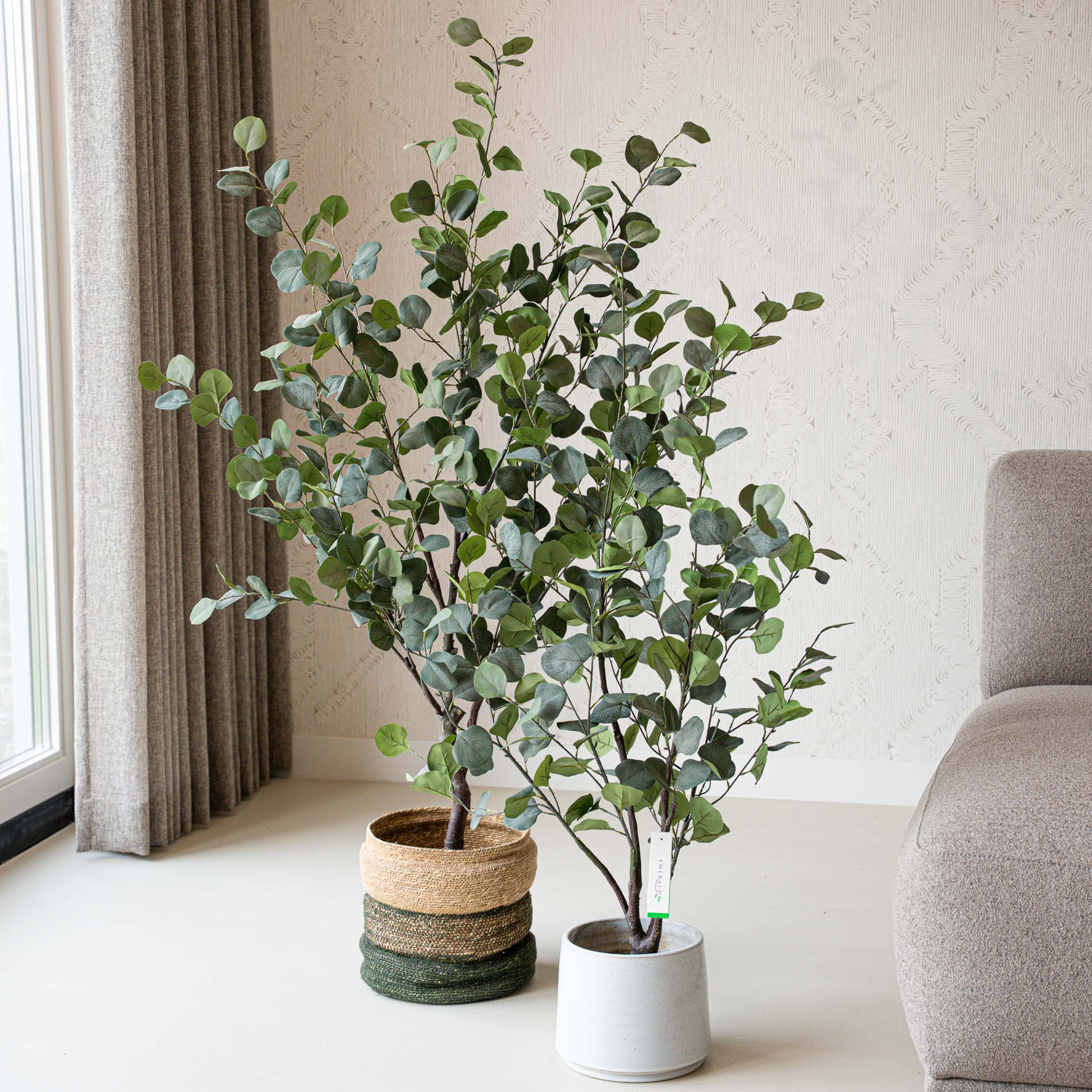 Eukalyptus Mix 2er-Set