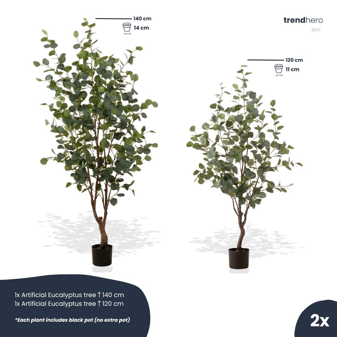 Eukalyptus Mix 2er-Set