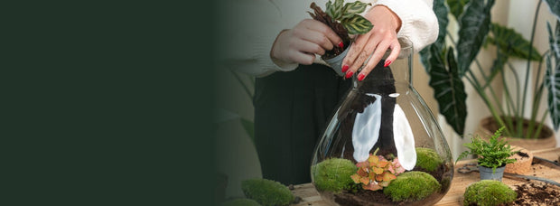 Time to reset & replant