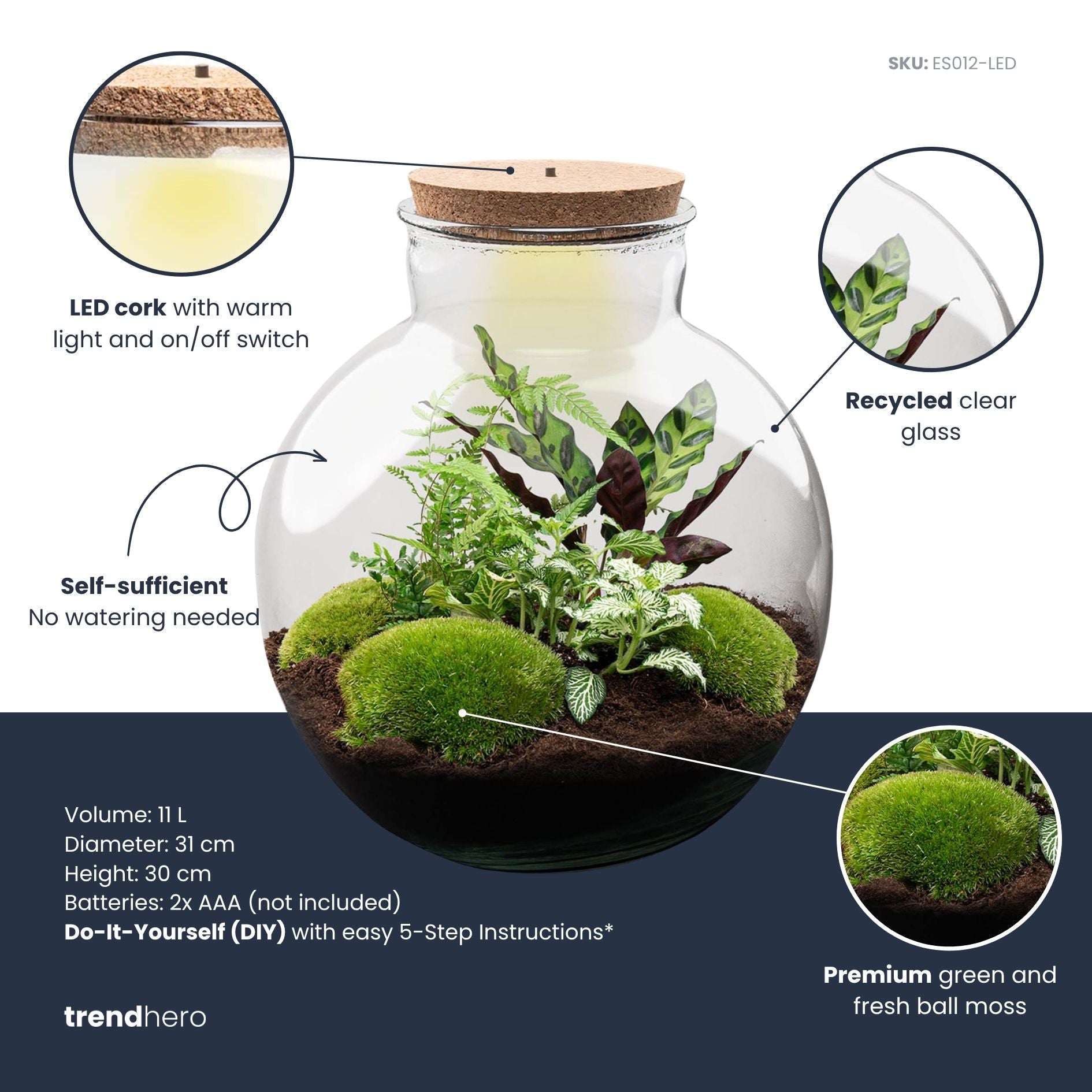 terrarium planter kit dunnes stores DIY Terrarium Kit - Create your own mini Ecosystem