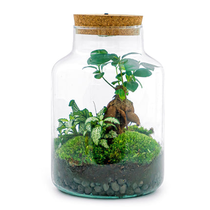 Planten terrarium • Little Milky + Led lamp • Ecosysteem plant • ↑ 25 cm