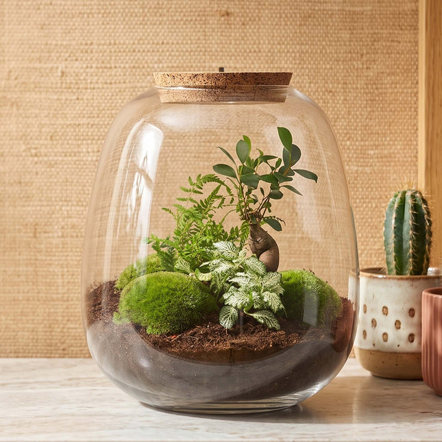  Emma - Bonsai White - Planten Terrarium met licht - DIY kit - Ecosysteem plant - Ø 23 cm ↑ 25 cm