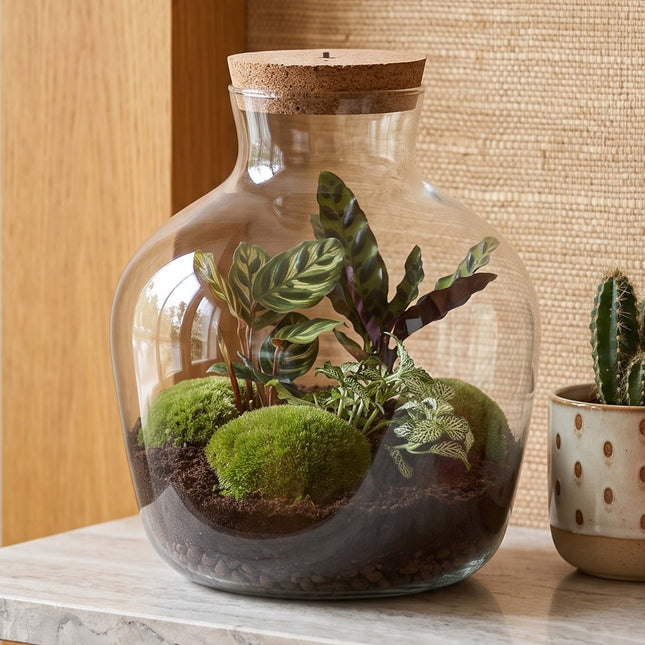 bottle garden kit fat joe