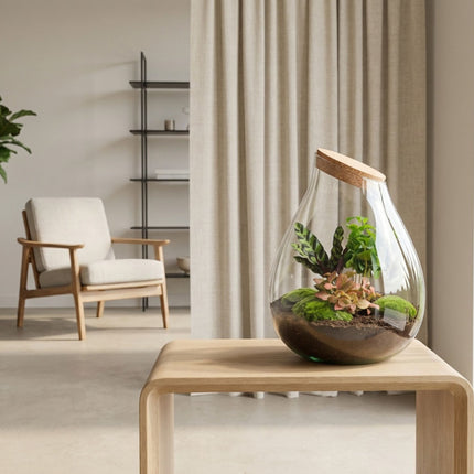 Drop XXL Rood - Planten Terrarium met kurk - DIY kit - Ecosysteem plant - Ø 34 cm ↑ 43 cm