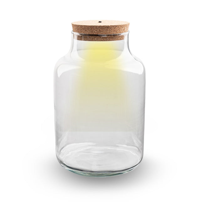Terrarium bottle 'Milky' with LED-lighting - Closed terrarium Ø 21 cm ↑ 30 cm