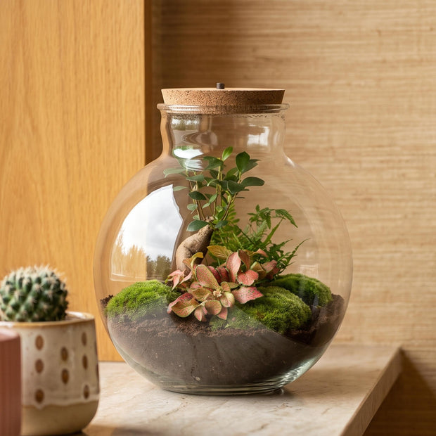 bottle garden kits