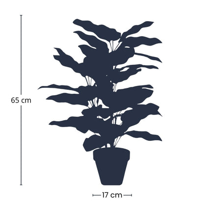 Calathea Bush in Pot - Kunstplant - 65 cm