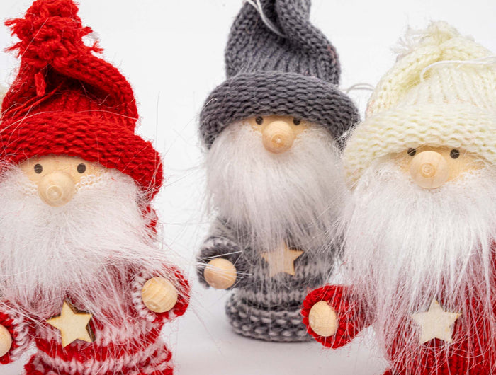 Möchtest du in dieser Feiertagssaison ein Terrarium oder Pflanzen verschenken?