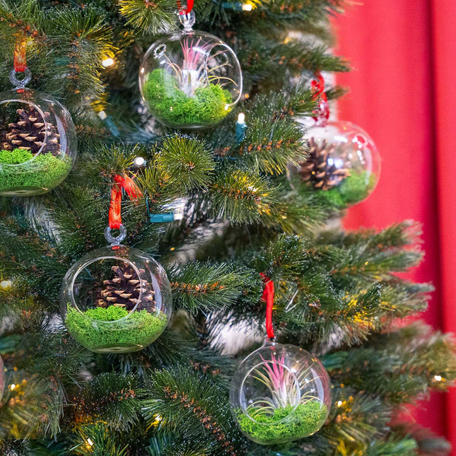 Weihnachtskugel Glas