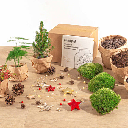 Weihnachts-Flaschengarten paket - Weihnachtsset + Baum - Spargel - Fittonia Ruby Lime - 3 Terrariumpflanzen - Nachfüll- und Starterpaket