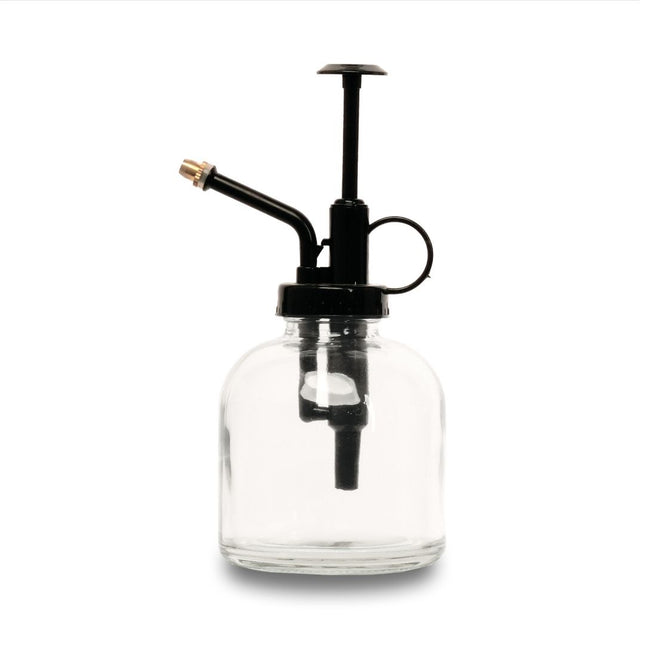 Plant mister - Plantenvernevelaar - Glazen plantenspuit - Helder glas - ↑ 16 cm