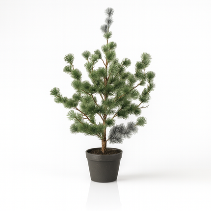 Dennenboom (Cedar Pine) 80, 120 & 150 cm – Kunstplant in pot