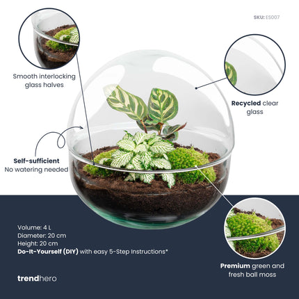 Dome - Zweiteiliges rundes Glas Flaschengarten - DIY Terrarium mit Pflanzen im Glas - Ø 20 cm ↑ 20 cm