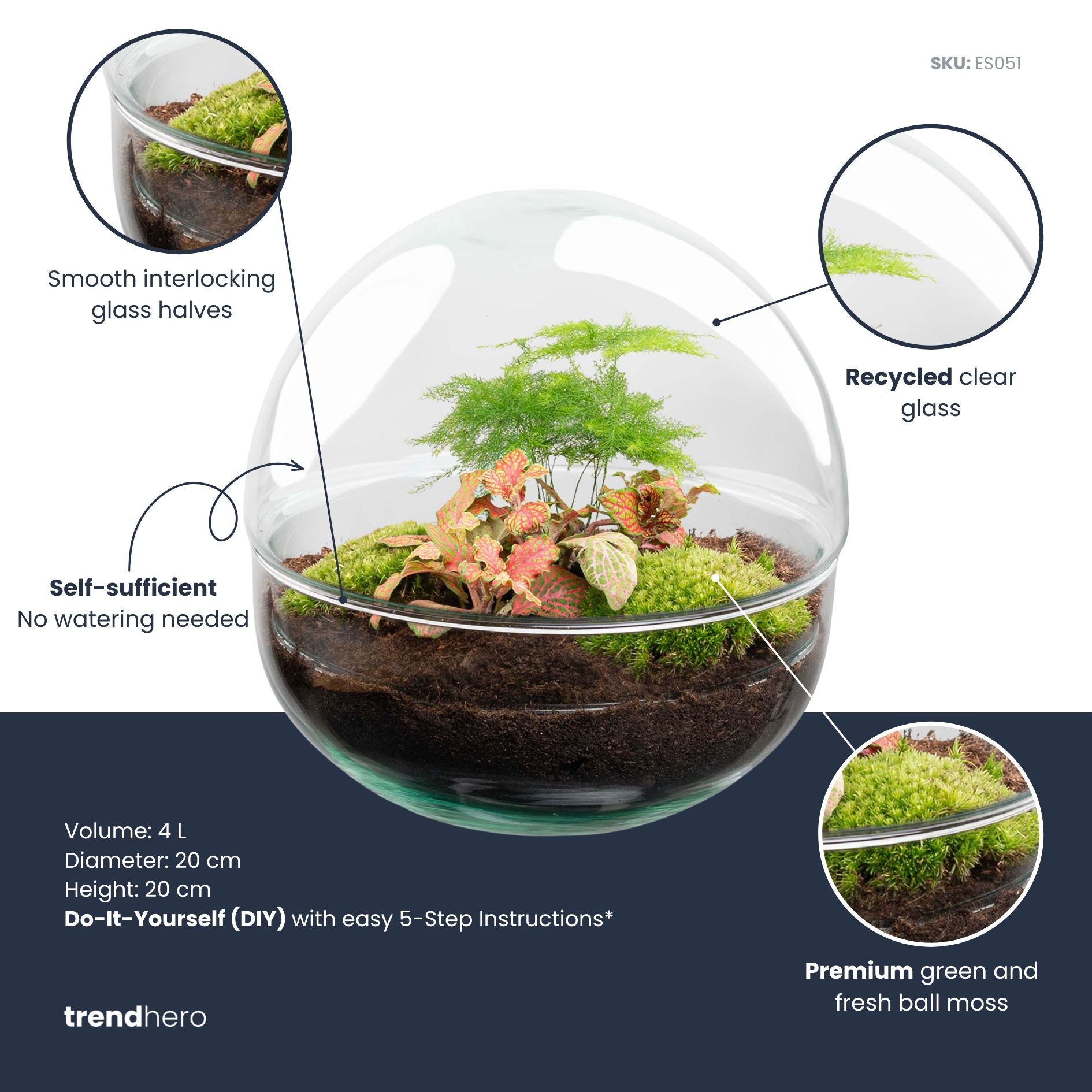 plant terrarium glass DIY Kit Round Terrarium - Create your own mini Ecosystem