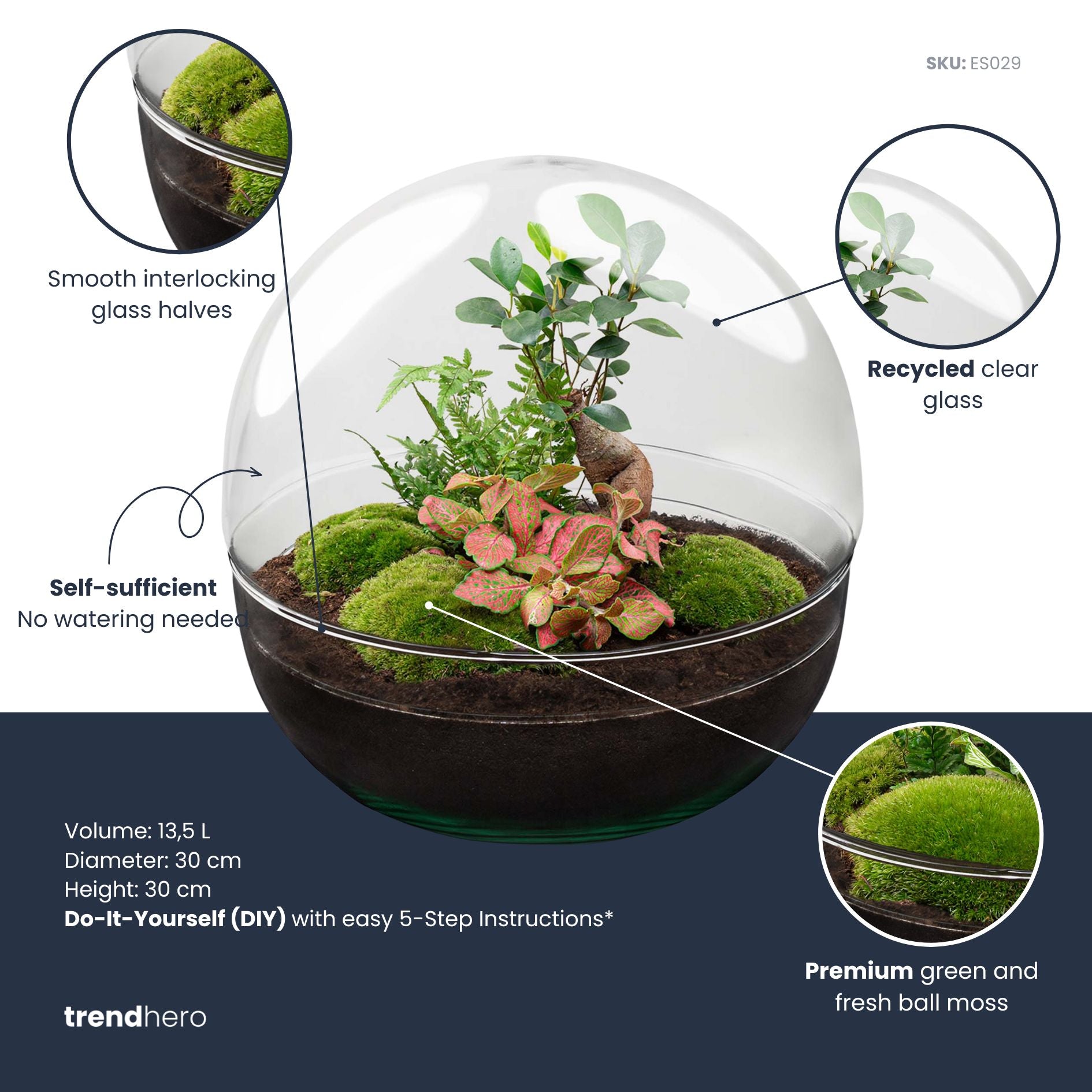 diy glass plant terrarium DIY Terrarium Kit - Create your own mini Ecosystem