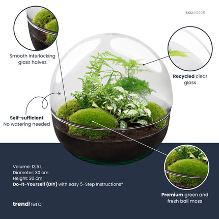 Dome XL - Zweiteiliges rundes Glas Flaschengarten - DIY Terrarium mit Pflanzen im Glas - Ø 28 cm ↑ 28 cm
