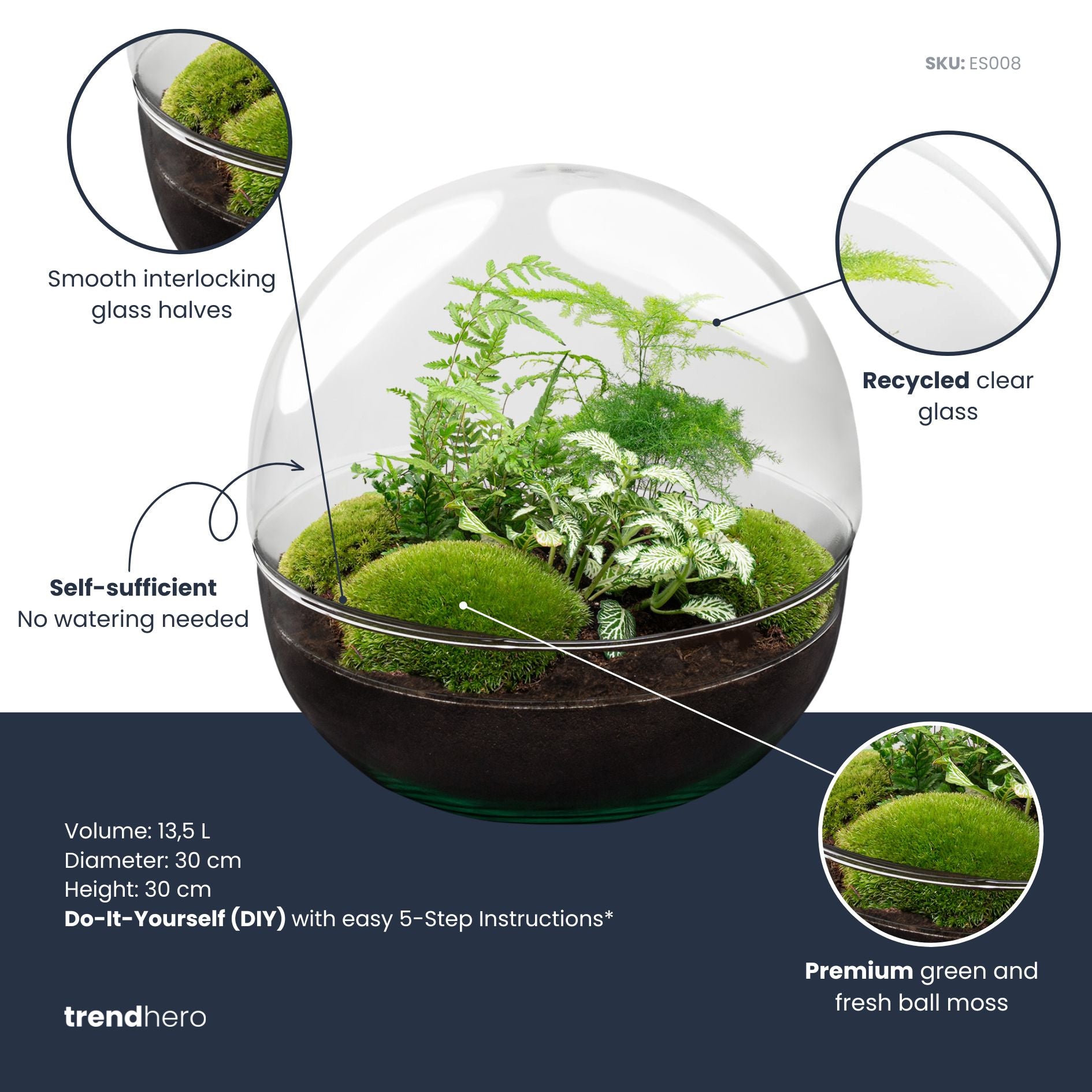 bug biting plants terrarium set instructions DIY Terrarium Kit - Create your own mini Ecosystem