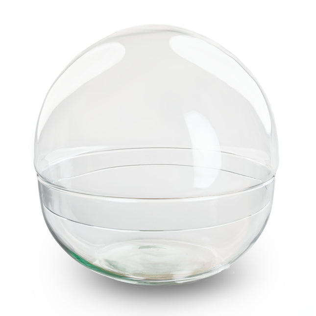 Terrarium bottle ‘Dome XL’ – Two-part round glass – Closed terrarium Ø 28 cm ↑ 28 cm