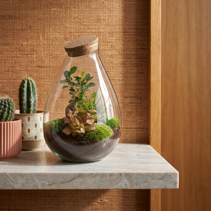 Drop XL Rood - Planten Terrarium met kurk - DIY kit - Ecosysteem plant - Ø 24 cm ↑ 37 cm