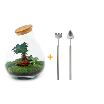 Terrarium DIY Kit - Drop XXL Bonsai - Bottle Garden - ↑ 43 cm