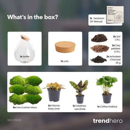 Drop XXL Rot - Flaschengarten mit Korken - DIY Terrarium mit Pflanzen im Glas - Ø 34 cm ↑ 43 cm