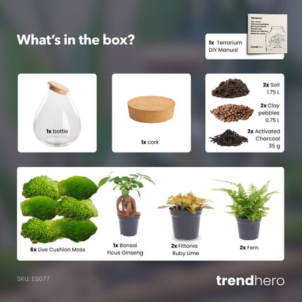 Drop XXL Bonsai - Flaschengarten mit Korken - DIY Terrarium mit Pflanzen im Glas - Ø 34 cm ↑ 43 cm