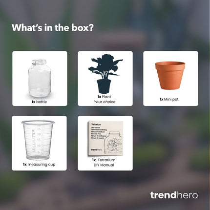 Easyplant - Fido planten terrarium pot - DIY kit - Ecosysteem plant - Ø 18 cm ↑ 28 cm