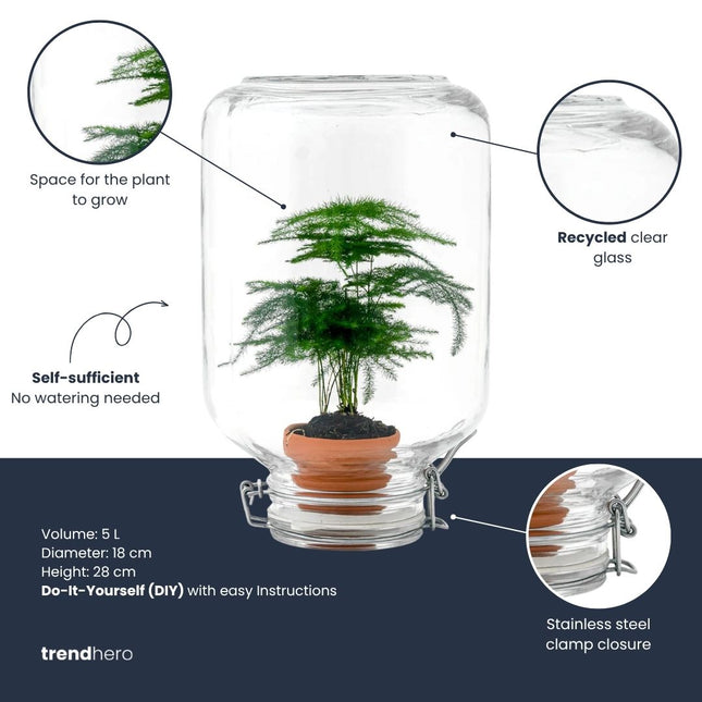 Easyplant - Fido terrarium jar - Bottle Garden DIY kit - Ø 18 cm ↑ 28 cm