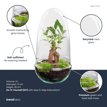 Egg - Planten Terrarium - Tweedelige glazen stolp - DIY kit - Ecosysteem plant - Ø 12 cm ↑ 25 cm