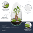 Egg - Terrarium - Two-part glass dome - Bottle garden DIY kit - Ø 12 cm ↑ 25 cm