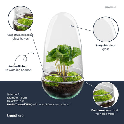Egg - Planten Terrarium - Tweedelige glazen stolp - DIY kit - Ecosysteem plant - Ø 12 cm ↑ 25 cm