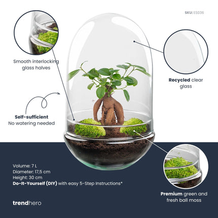 Egg XL Bonsai - Planten Terrarium - Tweedelige glazen stolp - DIY kit - Ecosysteem plant - Ø 17,5 cm ↑ 30 cm