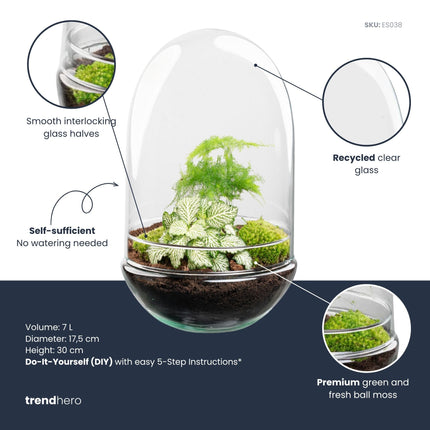 Egg XL - Planten Terrarium - Tweedelige glazen stolp - DIY kit - Ecosysteem plant - Ø 17,5 cm ↑ 30 cm