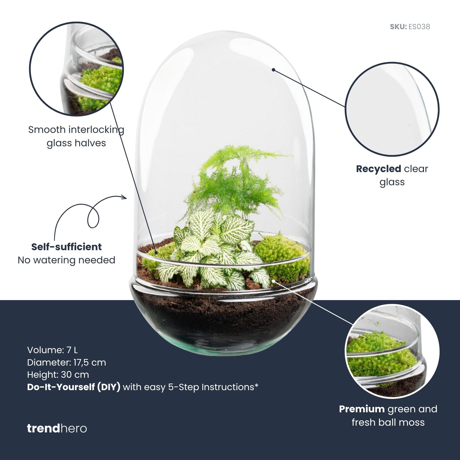 diy glass plant terrarium DIY Terrarium Kit - Create your own mini Ecosystem