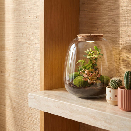 Emma - Bonsai Red - Terrarium with light - Bottle garden DIY kit - Ø 23 cm ↑ 25 cm