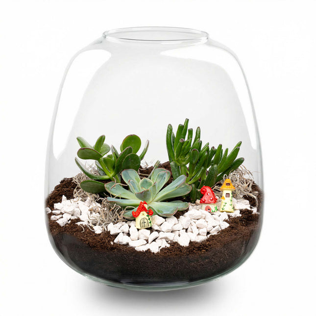Emma Succulent - Open terrarium - Bottle garden DIY kit - Ø 23 cm ↑ 25 cm