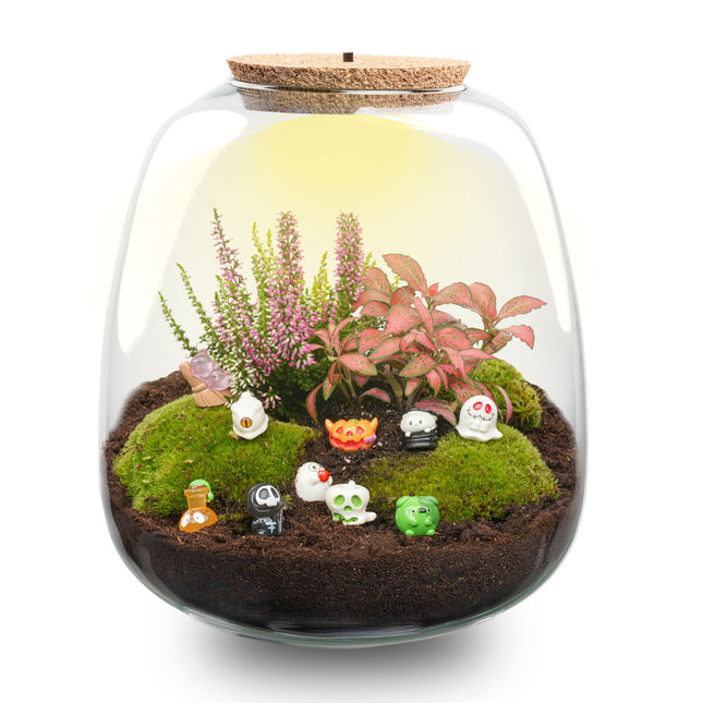 Halloween planten terrarium - Emma Spooky crew edition - Ø 23cm ↑ 25cm
