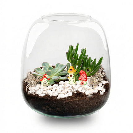 Emma Mini Succulent - Open terrarium - Bottle garden DIY kit - Ø 19 cm ↑ 20 cm