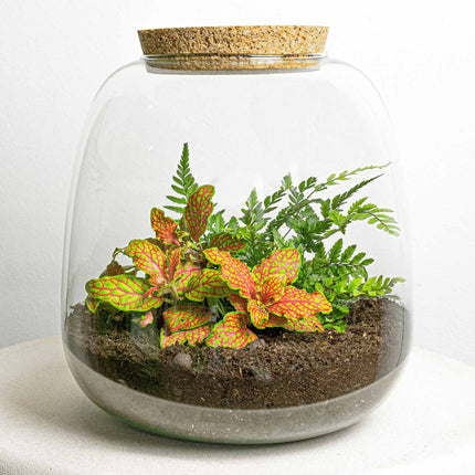 Plant terrarium - Emma Mini - DIY kit - ↑ 20 cm - Ø 19 cm