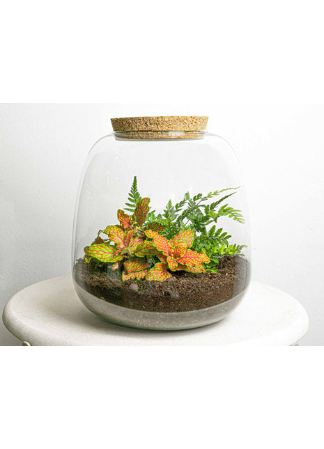 Terrarium DIY Kit - Emma Mini - DIY kit - ↑ 20 cm - Ø 19 cm