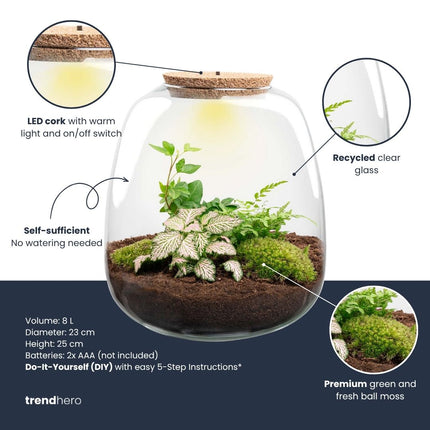  Emma - Planten Terrarium met licht - DIY kit - Ecosysteem plant - Ø 23 cm ↑ 25 cm