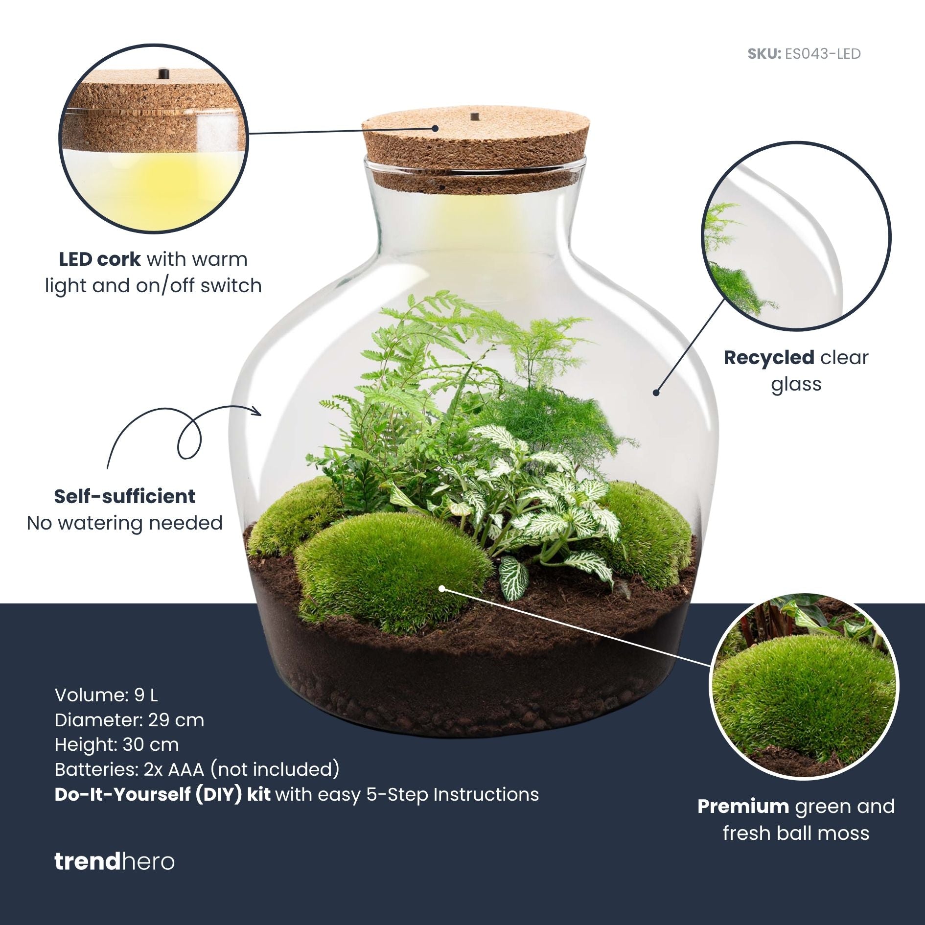 Kork Mit LED - Terrariumkork Mit Licht - 3 Größen Verfügbar