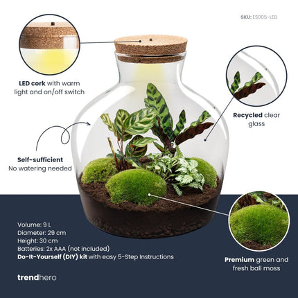 Fat Joe - Planten Terrarium met licht - DIY kit - Ecosysteem plant - Ø 29 cm ↑ 30 cm