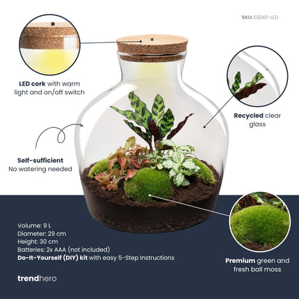 Fat Joe Red - Flaschengarten mit Licht - DIY Terrarium mit Pflanzen im Glas - Ø 29 cm ↑ 30 cm