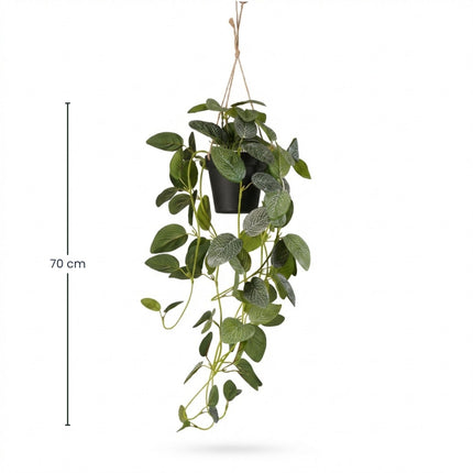Künstliche Fittonia - Hängepflanze im Topf - 70 cm

