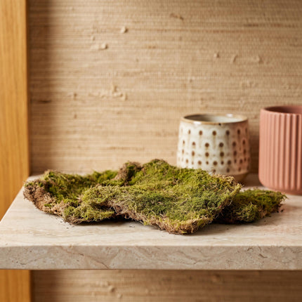 Plattmoos - Getrocknet - ca. 30 x 20 cm - 1 Box