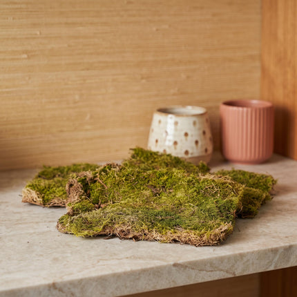 Plattmoos - Getrocknet - ca. 30 x 20 cm - 1 Box